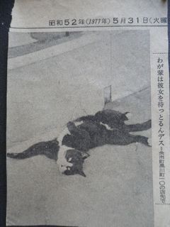 hanajiro.jpg