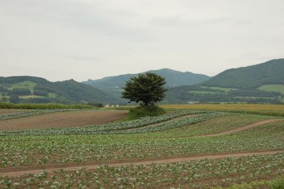 農家1