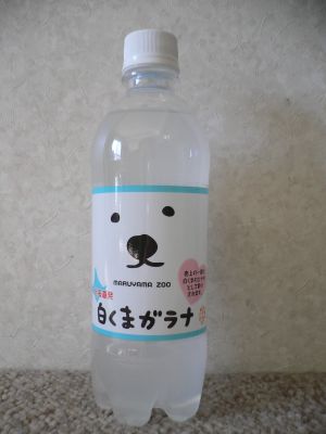 shirokuma1.jpg